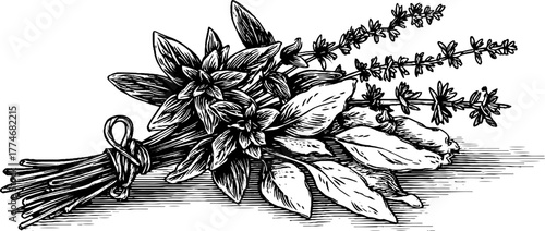 Vintage engraved botanical composition with medicinal herbs bundle
