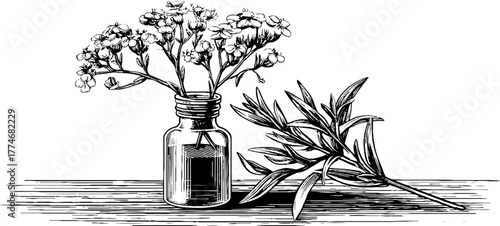 Vintage botanical engraving of wild herbs in glass vase on wooden surface for retro design