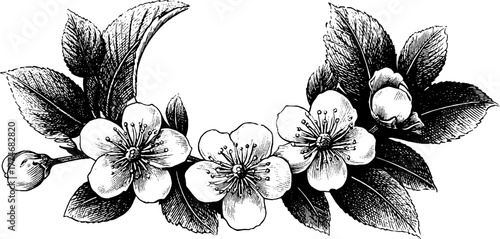 Elegant vintage circular floral wreath design with detailed petals and leaves for cards and prints