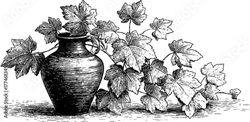 Ancient amphora with entwined vine leaves - vintage sketch for retro design