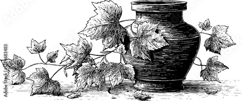 Vintage engraving of ancient amphora with entwined vine leaves for retro design