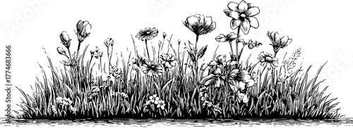 Blooming spring meadow with wildflowers in vintage engraving for retro design