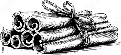 Vintage engraved illustration of cinnamon sticks tied with string for kitchen decor or label design