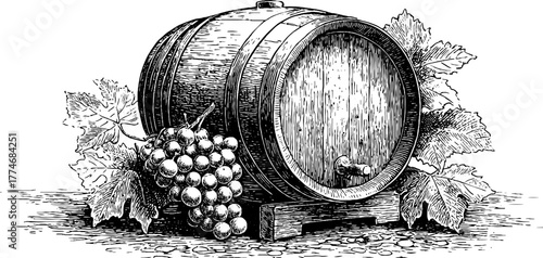 Vintage oak wine barrel with grapevine wreath hand drawn composition for design and decoration