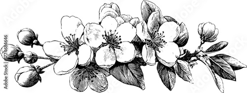 Spring blossoms and leaves in vintage engraved composition for decorative design