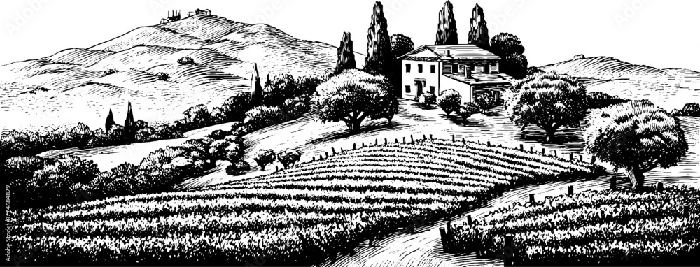 Fototapeta premium Vintage engraved landscape of tuscan vineyard with hills for retro design