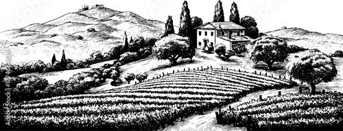 Vintage engraved landscape of tuscan vineyard with hills for retro design