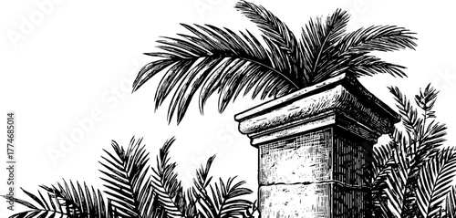 Engraved composition palm leaves ancient botanical column decorative design vintage sketch hand drawn engraving illustration. Classical architectural frame with ornate tropical foliage and intricate f