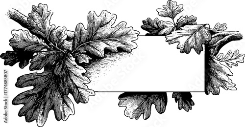 Decorative engraving of oak branches with geometric motif for vintage designs