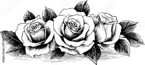 Elegant vintage rose composition with leaves and thorns for decorative designs