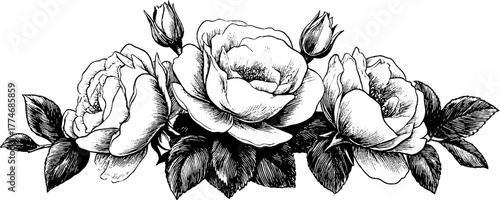 Decorative engraved composition of roses with leaves and thorns for vintage design