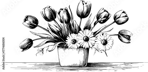 Floral still life tulips daisies vintage sketch hand drawn engraving decorative silhouette woodcut. Classic botanical bouquet with elegant petals and intricate traditional design.
