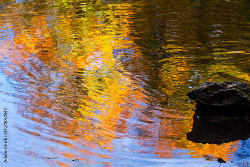 Surrealist color riot on the lake