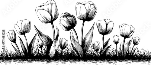 Vintage engraved floral background with symmetrical arrangement of tulips for artistic design