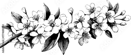 Vintage engraved floral garland with small blossoms and curved stems for design