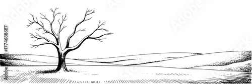 a single leafless tree standing in an open field with gentle rolling hills.