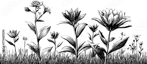 Vintage herbarium composition with neatly arranged dried leaves for design