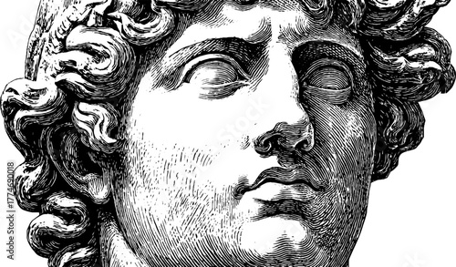 Engraved marble bust classical male figure curly hair vintage sketch hand drawn engraving illustration. Historic greek sculpture art with detailed stone carving and ornate texture.
