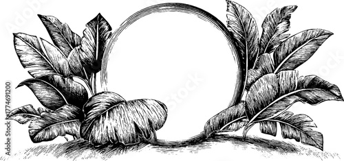 Modern botanical design with circular palm leaf arrangement for art and decor