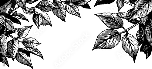 Modern decorative frame with symmetrical leaf engraving for vintage design projects