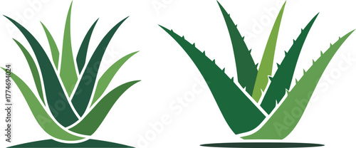 Aloe Vera Plant Icons