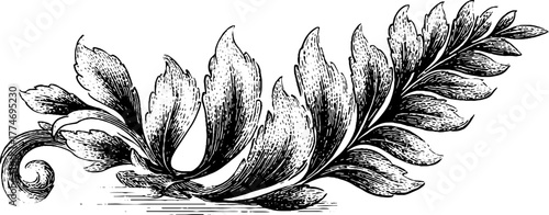 Vintage engraved pattern of stylized ferns and tendrils for retro design projects