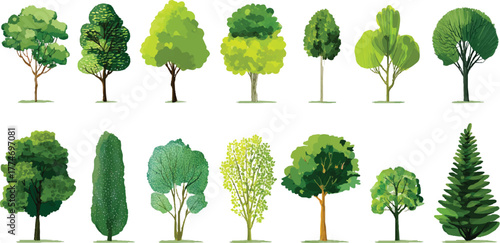 Collection of diverse green trees with varied foliage and trunk styles on white background nature