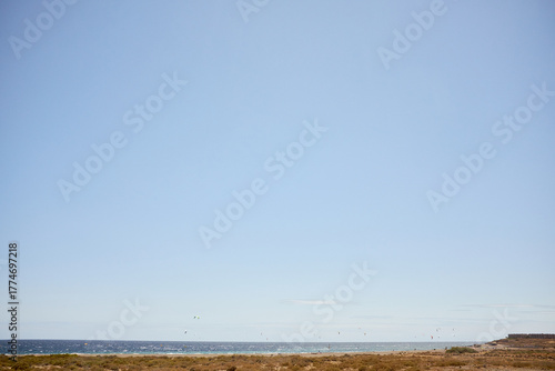 Panoramic view of bushy coast of Atlantic Ocean: cloudless blue sky hovering over water surface with waves, gulls flying low in search of fish