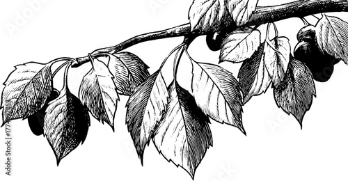 Intricate botanical design featuring engraved leaves and vines for seamless patterns