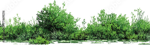 Contour of tall coniferous trees, set of beautiful Bushes and Shrubs Vector Set – Realistic Green Plants and Grass Isolated for Landscape Design Illustration on transparent background