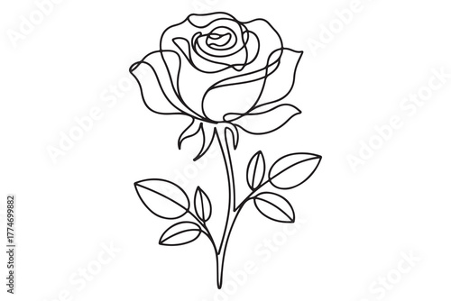 Continuous line art of rose flower elegant floral outline minimal design

