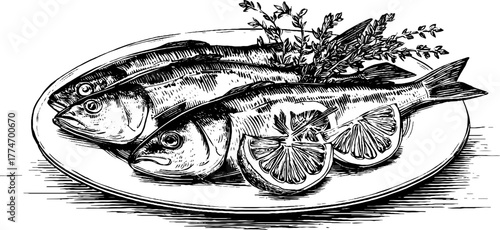 Engraved still life depicting fish, lemon slices, and herbs arrangement for vintage kitchen decor