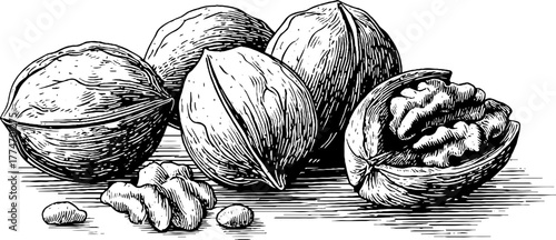 Vintage still life of walnuts and nutcracker with scattered shell