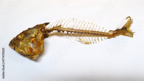 Fotografie Fried fish bones on a white background