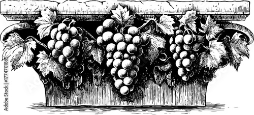 Intricate symmetrical grape pattern in engraved stone relief for vintage design