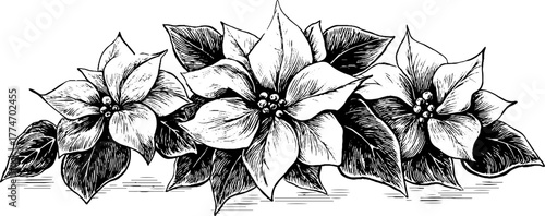 Elegant symmetrical ornament with poinsettia flowers for christmas design