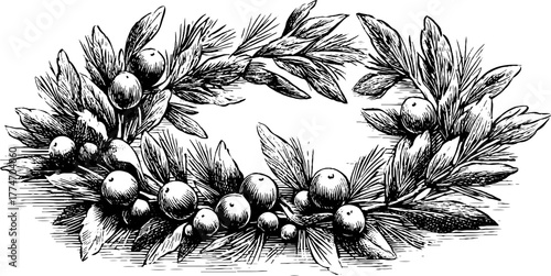 Festive wreath with pine needles and holly leaves for holiday decoration and design