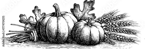 Autumn harvest composition with pumpkins and wheat for seasonal design