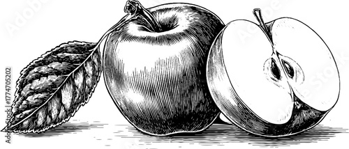 Vintage apple engraving with leaf and sliced half for retro design