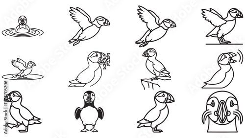 Puffin Line Art Stroke Icon Set With Cute Poses, Seabird Outline Vector For Coastal And Island Wildlife Art