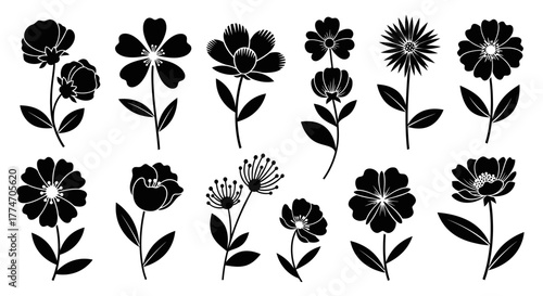 Collection of stylized flower shapes, each with unique petal arrangements and leaf structures,.