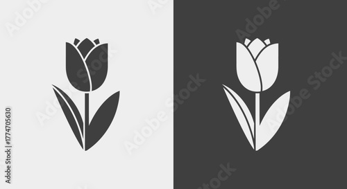 Two tulip flowers are displayed in contrasting colors on a split grayscale surface, creating a.