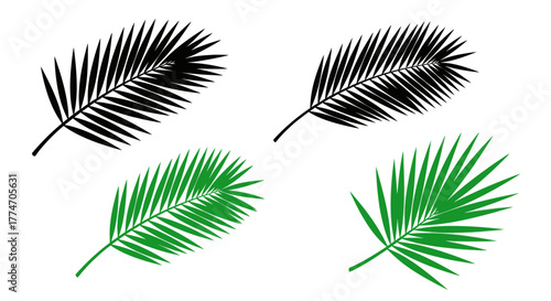 Four palm fronds are presented in black and green hues, offering a simple botanical element for.