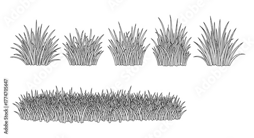 Hand drawn grass clumps and borders in a sketchy style perfect for nature scenes.