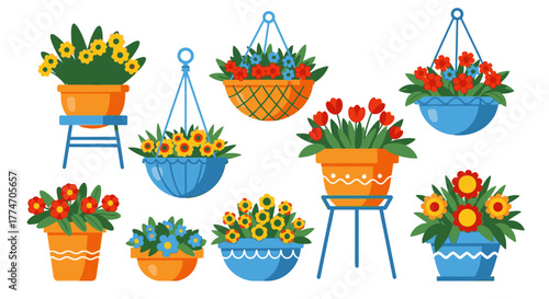 Collection of colorful flowers in pots and hanging baskets to bring nature indoors.
