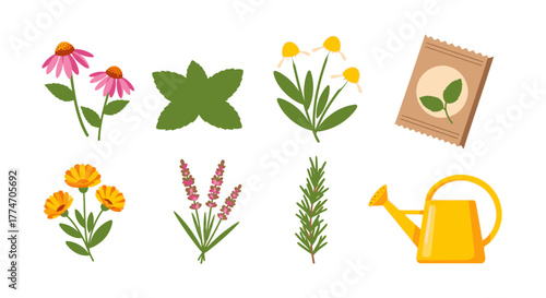 Various herbs, flowers, seeds and a watering can are displayed in a simple, clean arrangement.