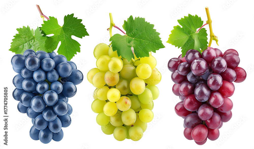 Fototapeta premium Set three bunch grape with leaf isolated on white background png transparent clipart.