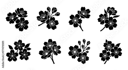 A collection of stylized cherry blossom branches are arranged in a simple monochrome palette.