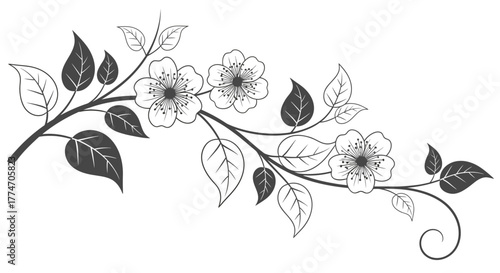 Elegant floral branch with blooming flowers and delicate leaves creates a graceful botanical accent.