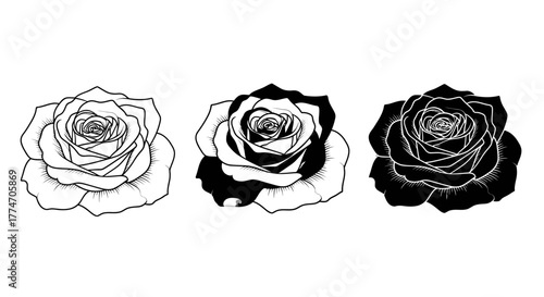 Three roses are displayed in a row, each with a different level of shading from light to dark.
